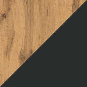 Цвет Дуб Вотан / Черный