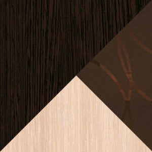 Цвет Венге / Дуб Белфорт / Тонированное стекло