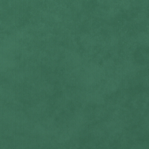 Цвет Светло-зеленый, велюр