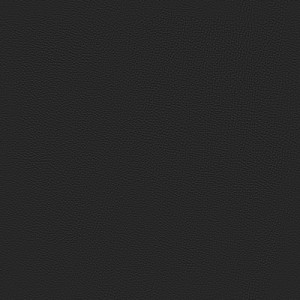 Цвет Черный, экокожа