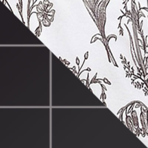 Цвет Стелла