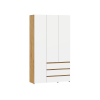 Распашной шкаф Некст фото 1