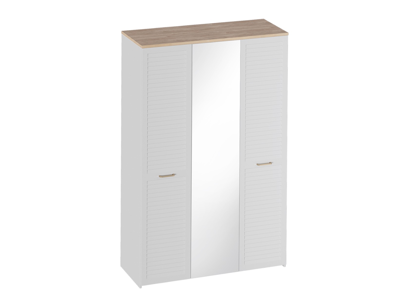 Распашной шкаф Гавана фото 4