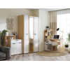 Распашной шкаф Санса с зеркалом фото 3