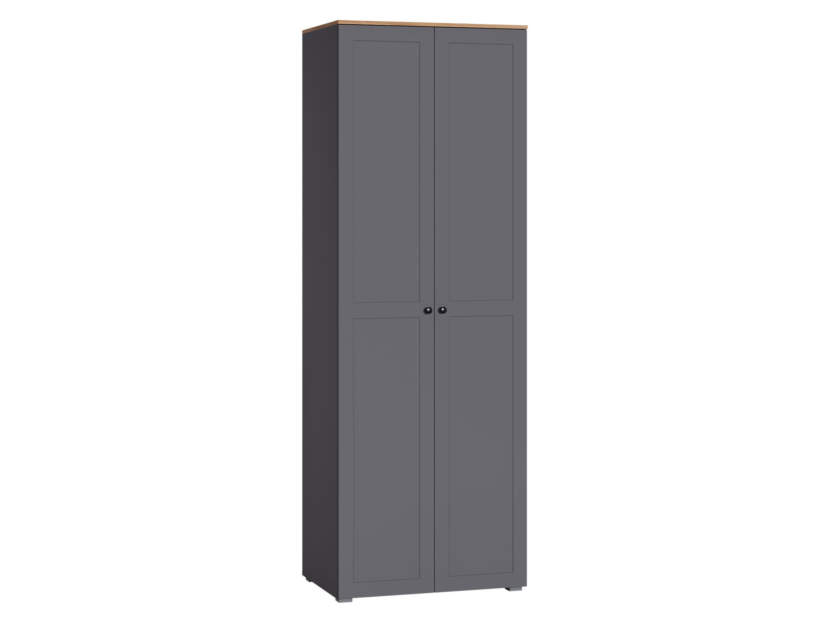 Распашной шкаф Остин фото 1