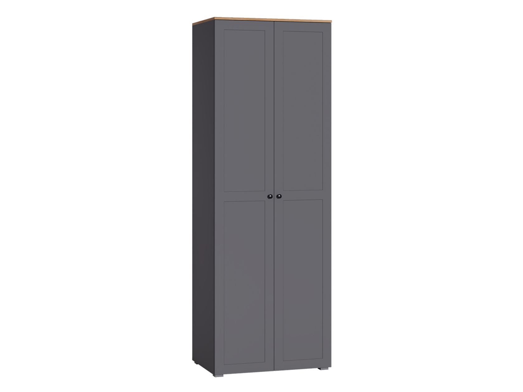 Распашной шкаф Остин фото 1