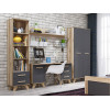 Стеллаж ВЕГА СКАНДИНАВИЯ гостиная Шкаф-стеллаж 450 Вега Скандинавия фото 3