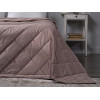 Покрывало Покрывало ШПА(999-65) велюр 20% хлопок, 80% полиэстер (роза) Хейли фото 4