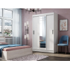 Шкаф-купе Тео фото 4