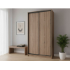 Шкаф-купе Шкаф-купе 2 дв Оптима Оптима 2 двери фото 2