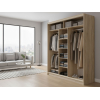 Шкаф-купе Оптима фото 4