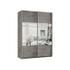 Шкаф-купе Шкаф-купе Smart фасад (дз.дз).01.(01.01).01 Смарт Зеркальная секция фото 1