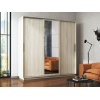 Шкаф-купе Шкаф-купе Стоун Зеркало Стоун Макси с зеркалом фото 5