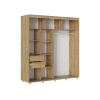 Шкаф-купе Форест фото 2