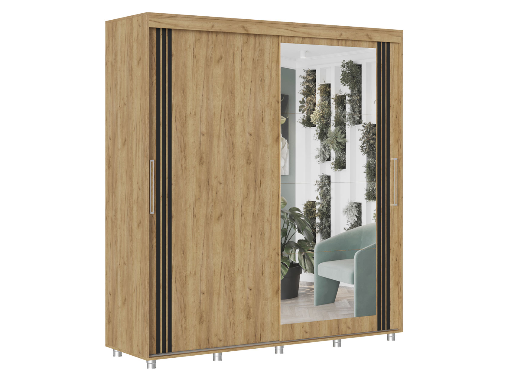 Шкаф-купе Форест фото 1