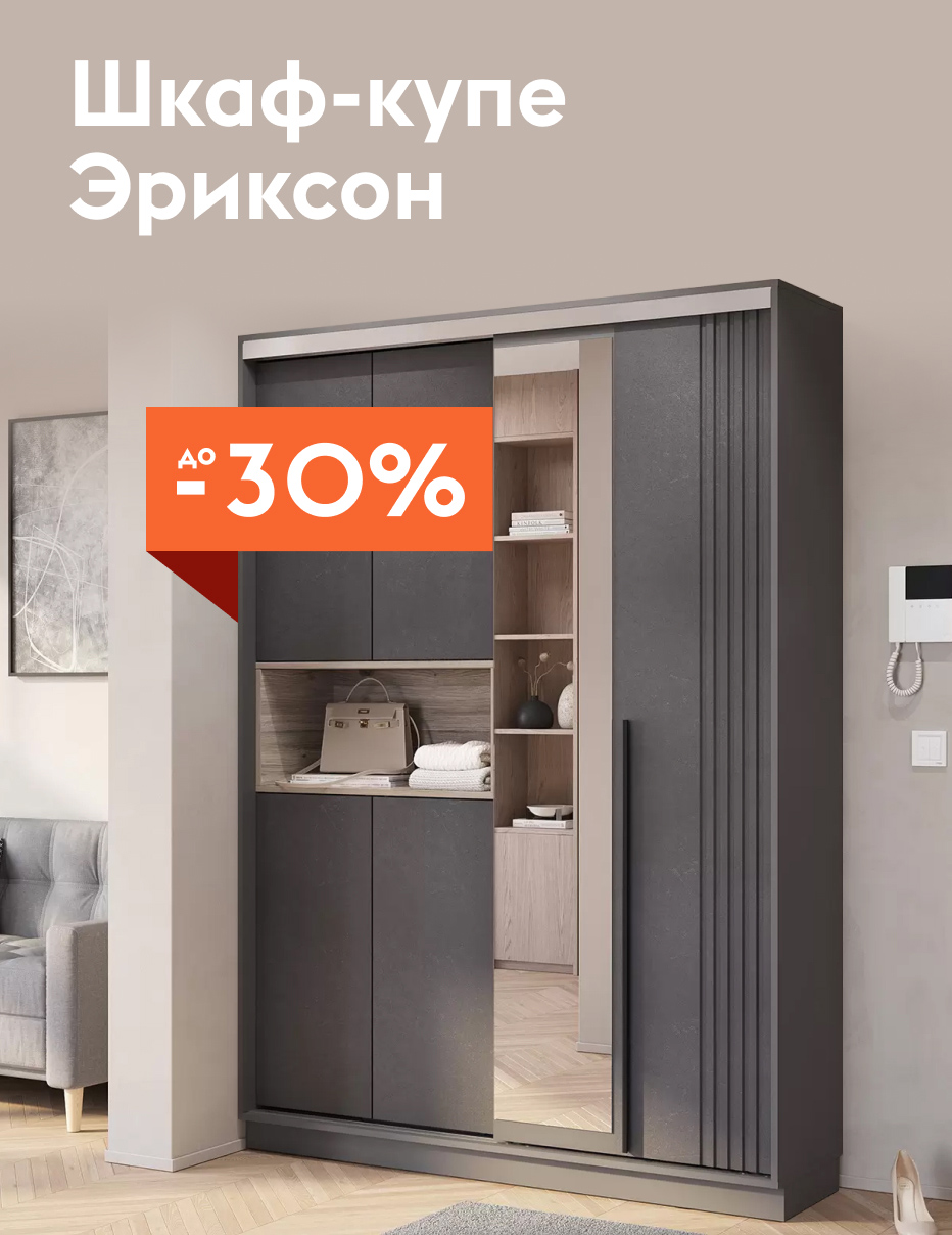 Шкаф-купе Эриксон. -30%